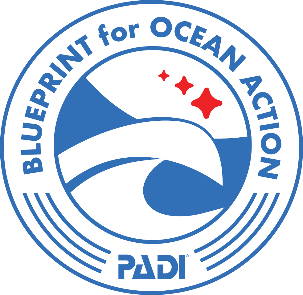 PADI Blueprint for Ocean Action(해양 액션을 위한 청사진) 로고