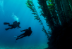 deepdiver