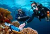 Dive Against Debris
