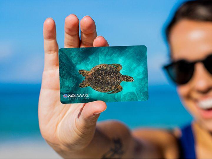 PADI certification card turtle.