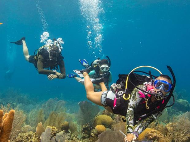 Three divers over coral