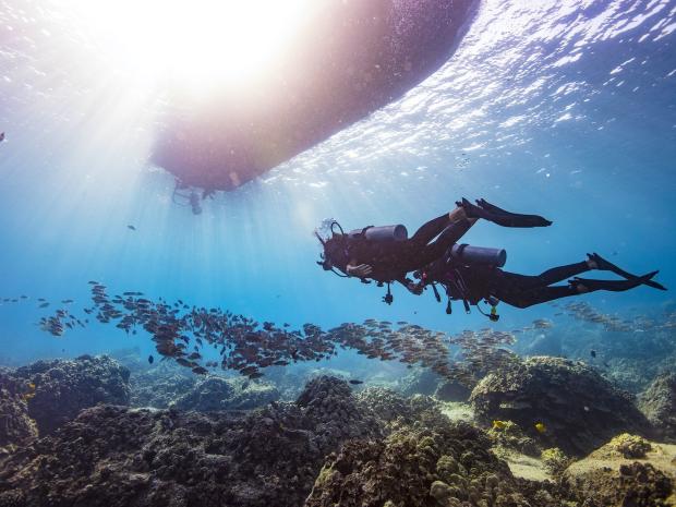 Diving Images