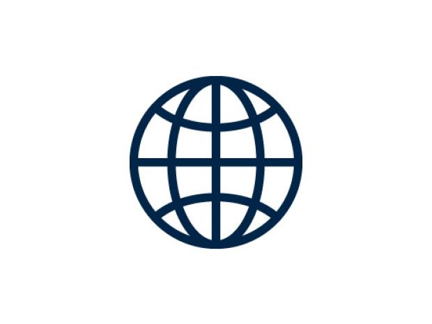 world icon