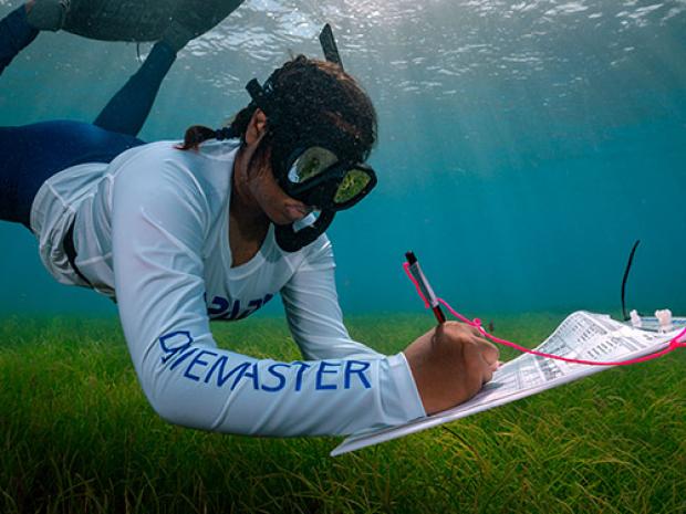A diver surveying the ocean.