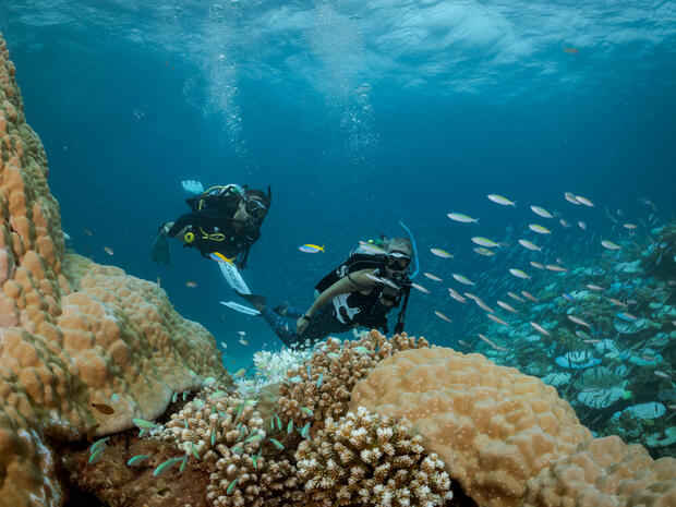 A couple of divers in the ocean.