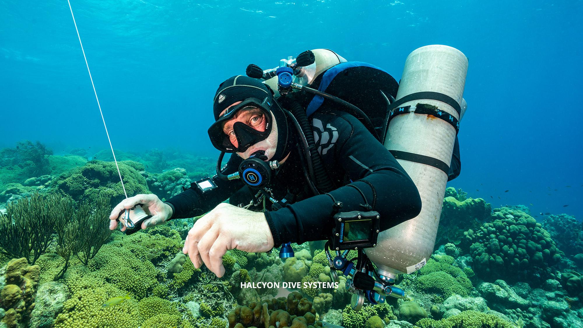 Tec diver with twin tanks