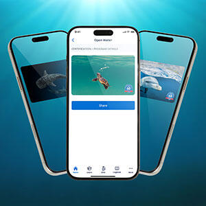 Ocean Wonders(오션 원더스) 인증 카드 컬렉션이 도착했습니다!